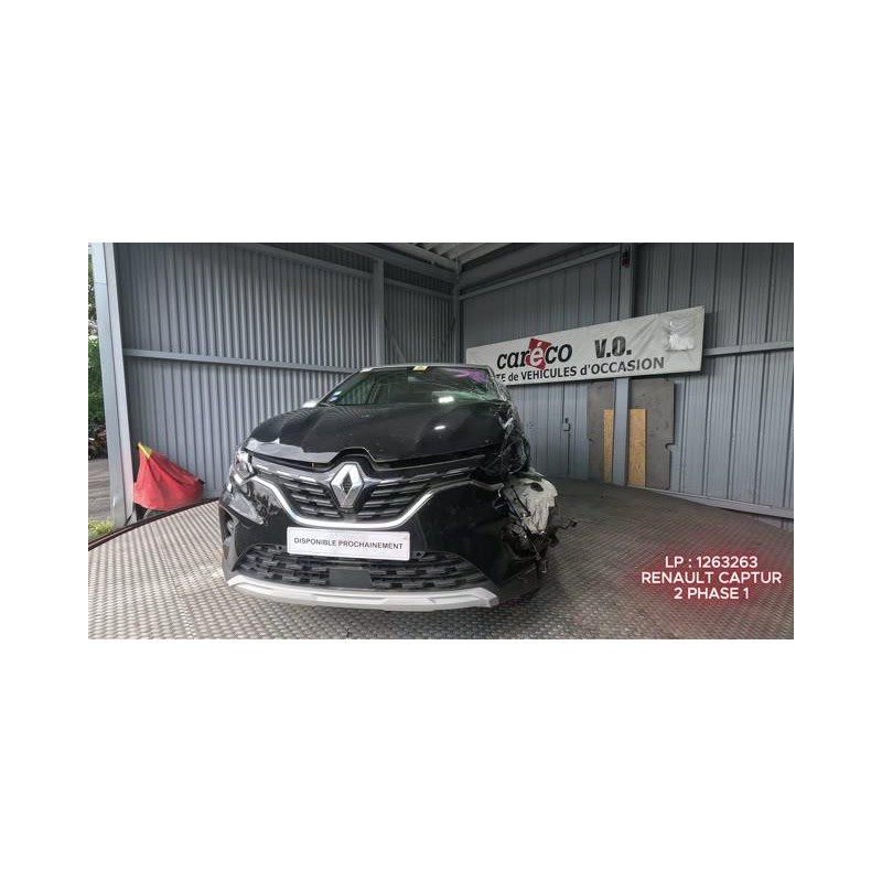 Custode arriere gauche RENAULT CAPTUR 2