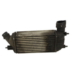 Echangeur air (Intercooler) CITROEN JUMPY 2