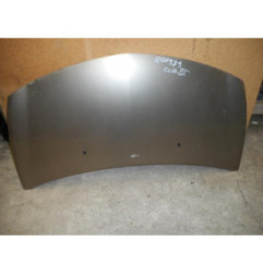 Capot RENAULT CLIO 3 Photo n°1