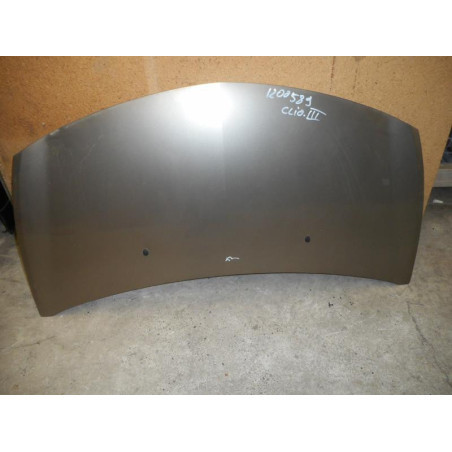 Capot RENAULT CLIO 3 Photo n°1