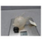Vase d'expansion CITROEN C3 2