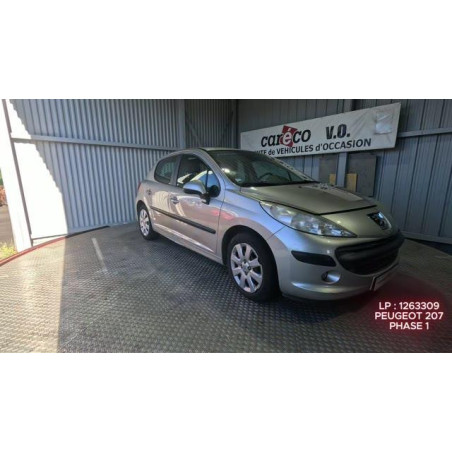 Neiman PEUGEOT 207 Photo n°1