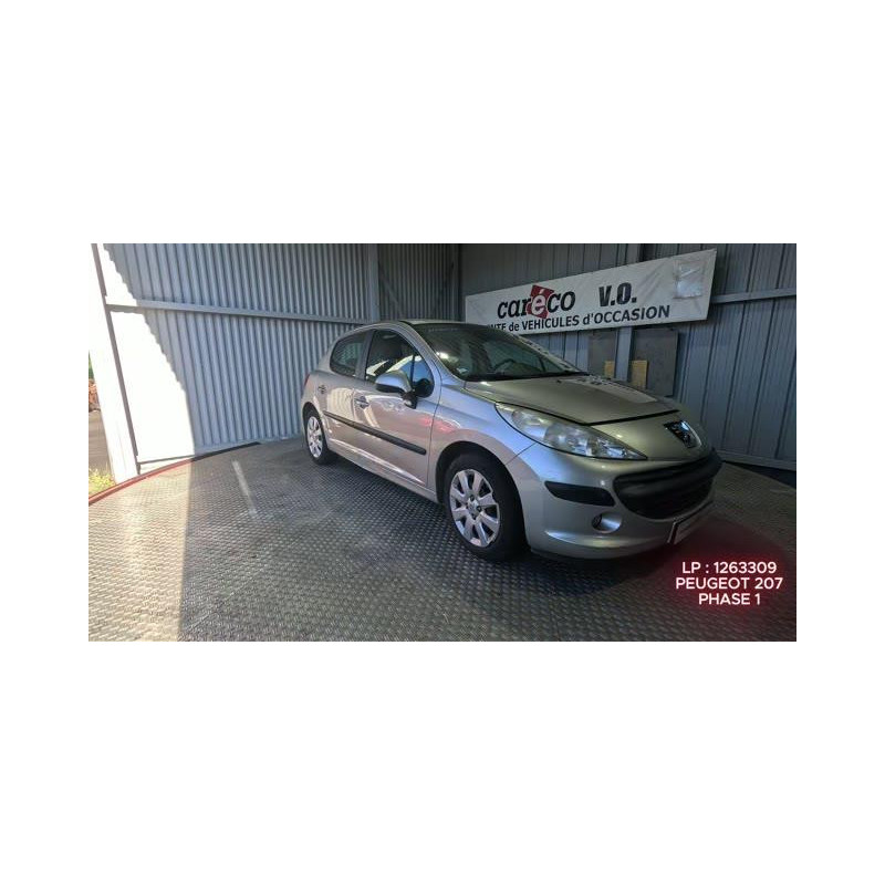 Capot PEUGEOT 207