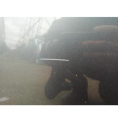 Capot VOLKSWAGEN PASSAT 5 Photo n°3