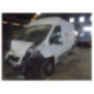 Pompe de direction PEUGEOT BOXER 3