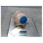 Vase d'expansion SEAT LEON 2