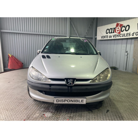 Mastervac PEUGEOT 206 Photo n°1