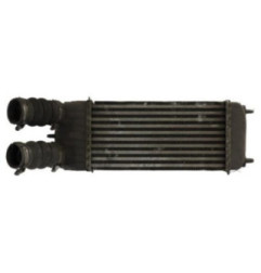 Echangeur air (Intercooler) CITROEN C3 PICASSO Photo n°1