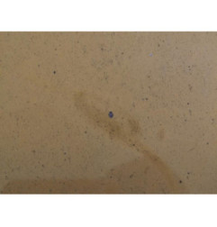 Capot VOLKSWAGEN TRANSPORTER 4 Photo n°6