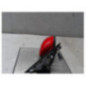 Retroviseur droit SKODA FABIA 2