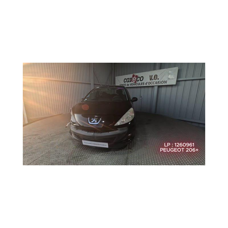 Mastervac PEUGEOT 206+