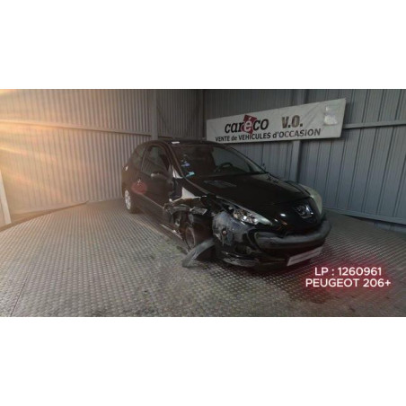 Mastervac PEUGEOT 206+