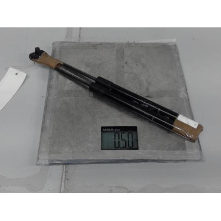 Verin de coffre DACIA DUSTER 1