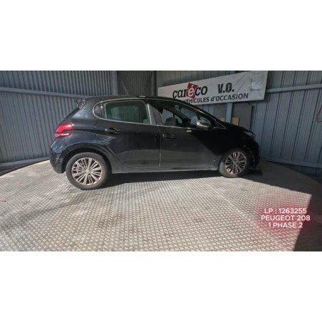 Mastervac PEUGEOT 208 1