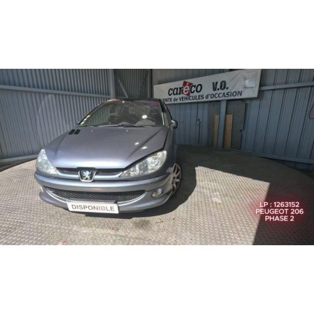 Calandre PEUGEOT 206 Photo n°1