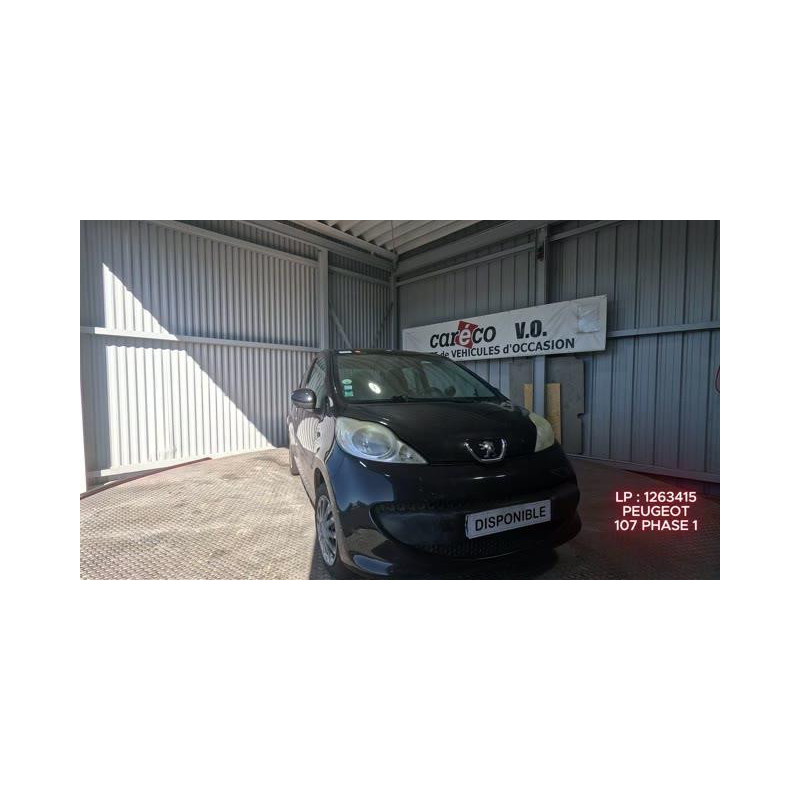 Mastervac PEUGEOT 107