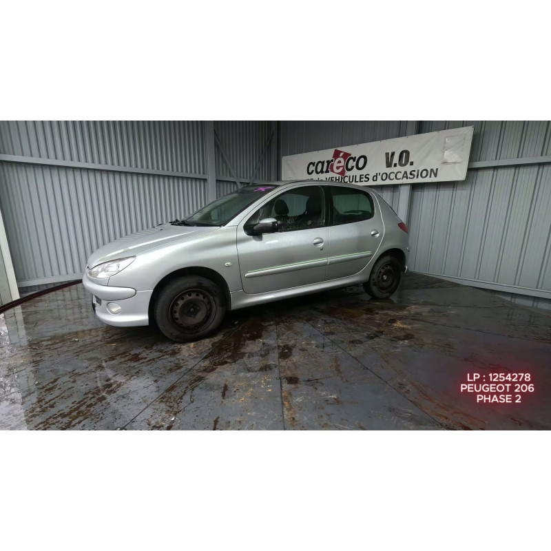 Mastervac PEUGEOT 206