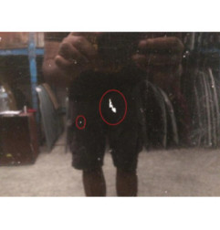 Capot FIAT CROMA 2 Photo n°3