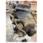 Moteur RENAULT MASTER 2