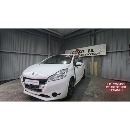 Mastervac PEUGEOT 208 1