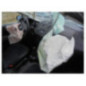 Glace retroviseur droit SEAT IBIZA 4