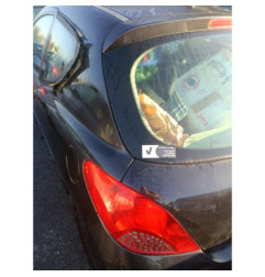 Commande chauffage PEUGEOT 207 Photo n°1