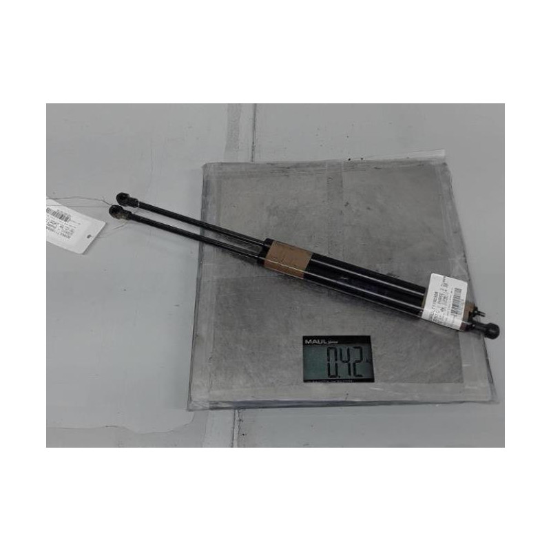 Verin de lunette arriere RENAULT SCENIC 1