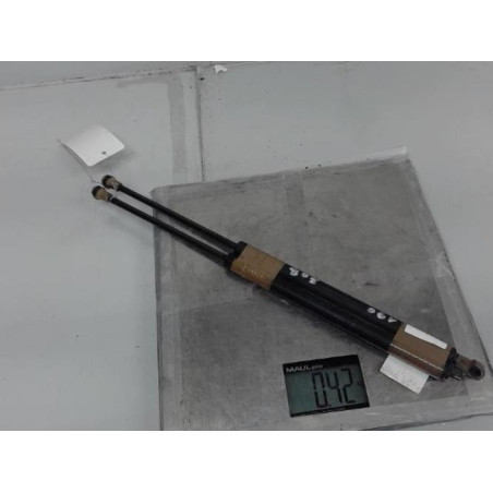 Verin de lunette arriere RENAULT SCENIC 1