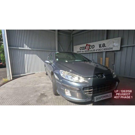 Mastervac PEUGEOT 407 Photo n°1
