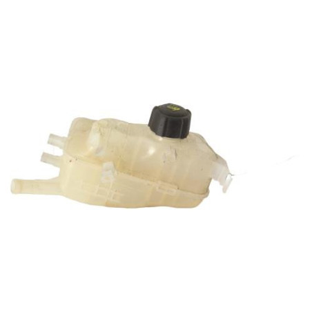 Vase d'expansion RENAULT MEGANE 3 Photo n°1