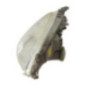 Optique avant principal droit (feux)(phare) MERCEDES CLASSE A 168