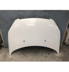 Capot PEUGEOT 307 Photo n°1