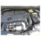 Anti brouillard droit (feux) RENAULT SCENIC 2