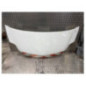 Capot RENAULT MASCOTT