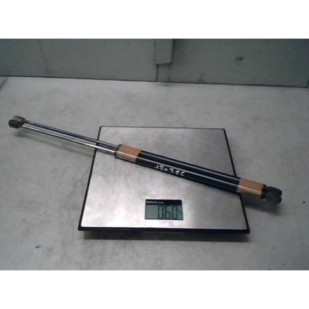 Verin de coffre MERCEDES CLASSE M 163 Photo n°1