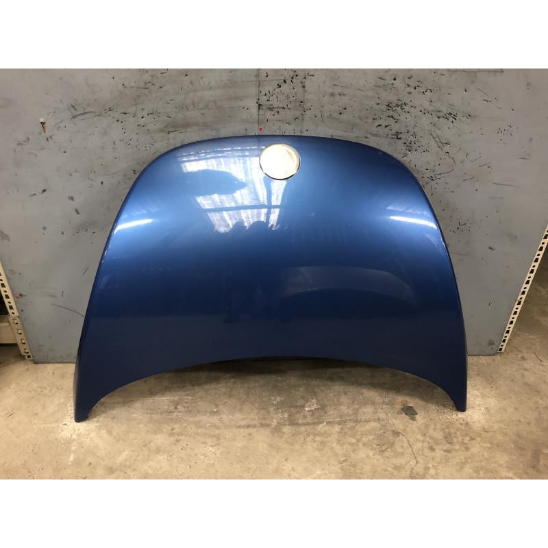 Capot VOLKSWAGEN NEW BEETLE 1