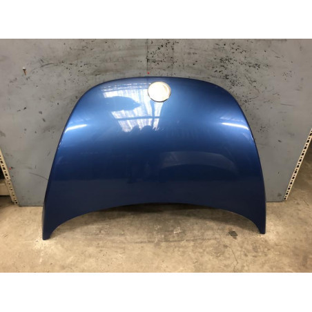 Capot VOLKSWAGEN NEW BEETLE 1 Photo n°1