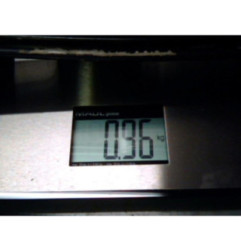 Moteur leve vitre avant droit RENAULT WIND