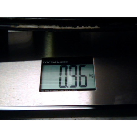 Moteur leve vitre avant droit RENAULT WIND