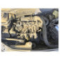 Levier de vitesses RENAULT CLIO 2